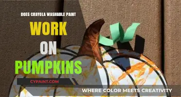 Crayola Washable Paint on Pumpkins: Creative or Messy DIY?