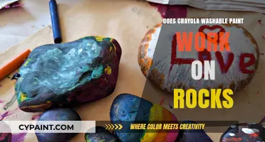 Crayola Washable Paint on Rocks: Creative Tips and Results