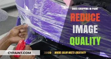 Cropping in Paint: Does It Reduce Image Quality?