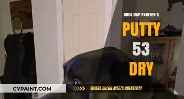 Does DAP Painter's Putty 53 Dry? A Comprehensive Guide