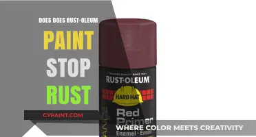 Rust-Oleum Paint: Effective Rust Prevention or Just a Coating?