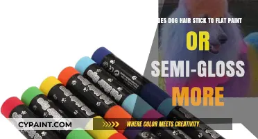 Flat vs. Semi-Gloss Paint: Which Attracts More Dog Hair?