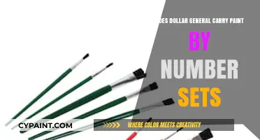 Does Dollar General Sell Paint by Number Kits?