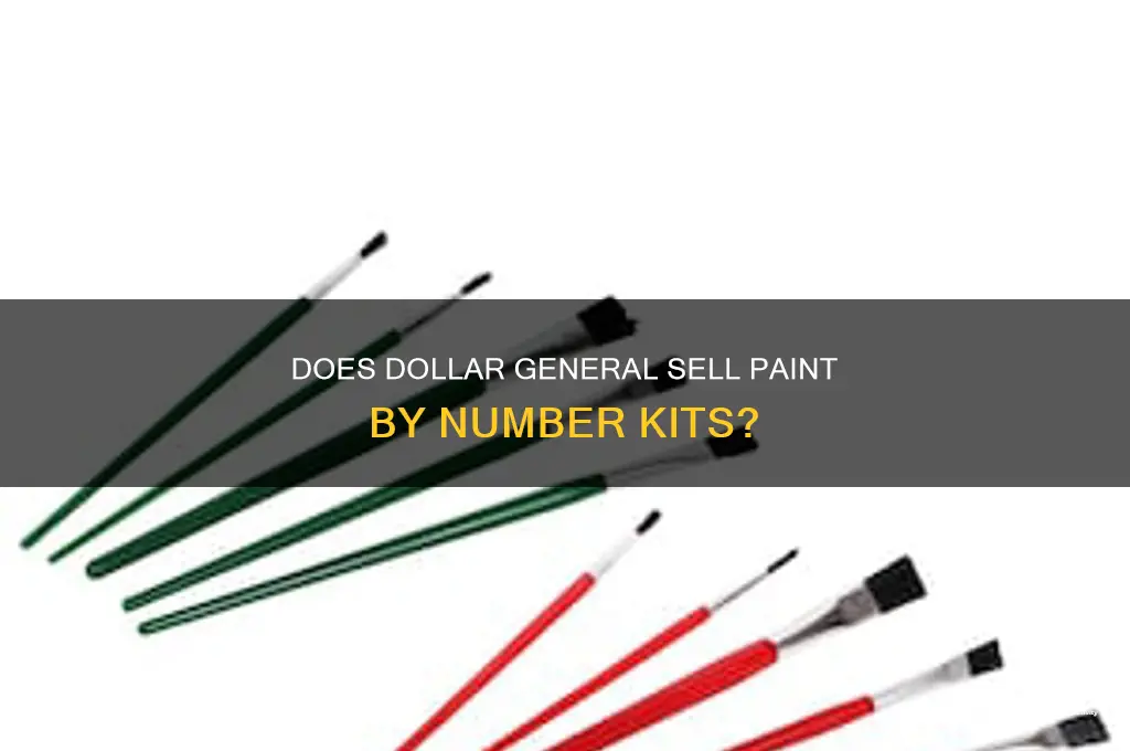 does dollar general carry paint by number sets