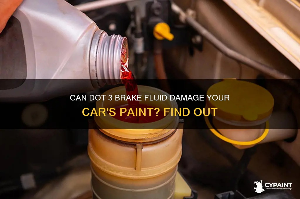 does dot 3 brake fluid eat paint