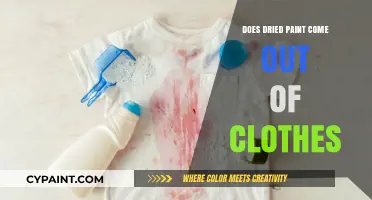 Removing Dried Paint Stains from Clothes: Effective Tips and Tricks