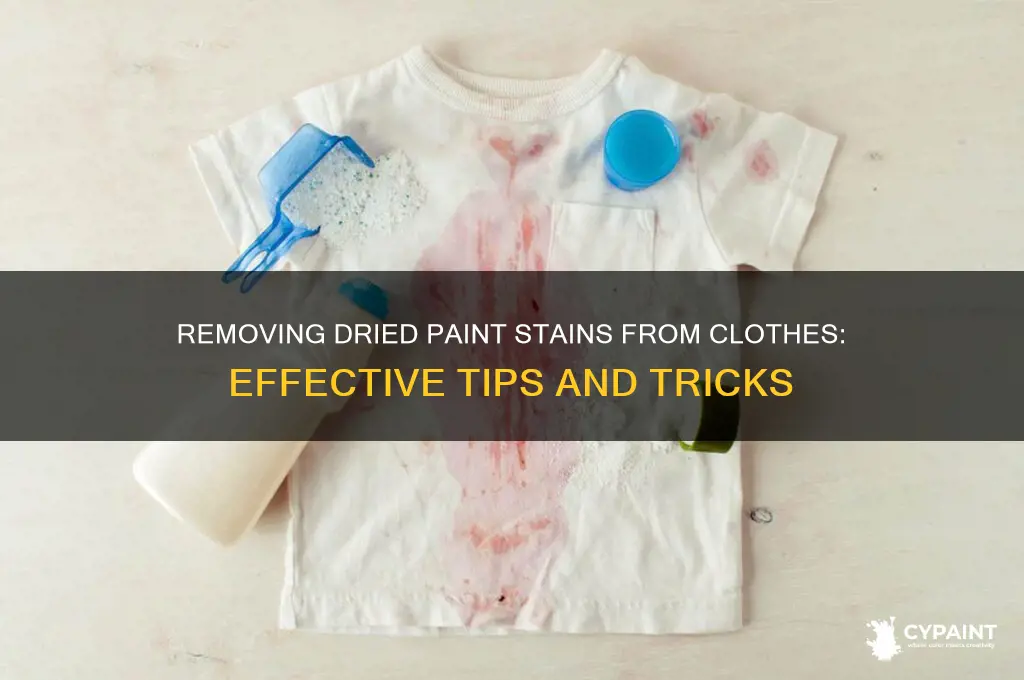 does dried paint come out of clothes