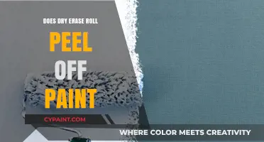 Does Dry Erase Roll Damage Paint? A Comprehensive Guide