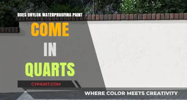 Drylok Waterproofing Paint: Quart Sizes Availability Explained