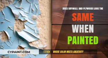 Plywood vs Drywall: Similarities After Painting?