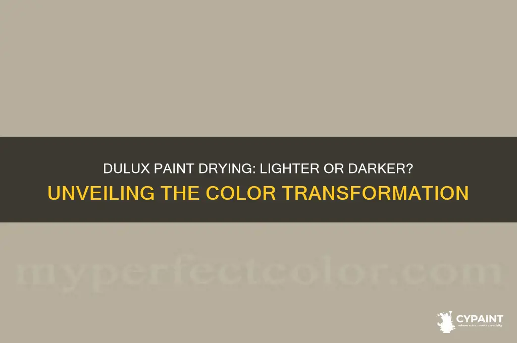 does dulux paint dry lighter or darker