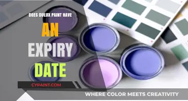 Does Dulux Paint Expire? Understanding Shelf Life and Quality
