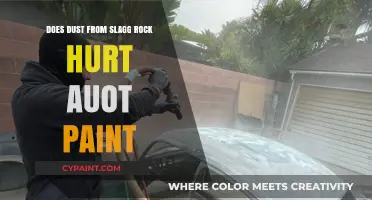 Can Slag Rock Dust Damage Your Car's Paint? Find Out Here