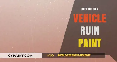 Does Egg Damage Car Paint? Facts and Prevention Tips