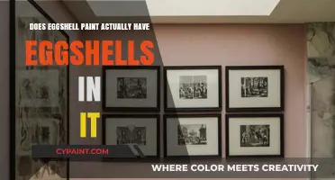 Does Eggshell Paint Contain Real Eggshells? Uncovering the Truth
