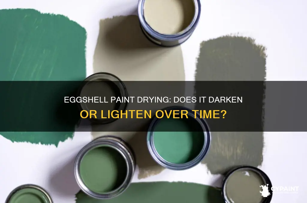 does eggshell paint dry darker or lighter