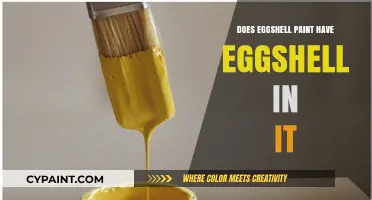 Does Eggshell Paint Contain Real Eggshells? Uncovering the Truth