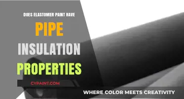 Elastomer Paint: Does It Enhance Pipe Insulation Properties?