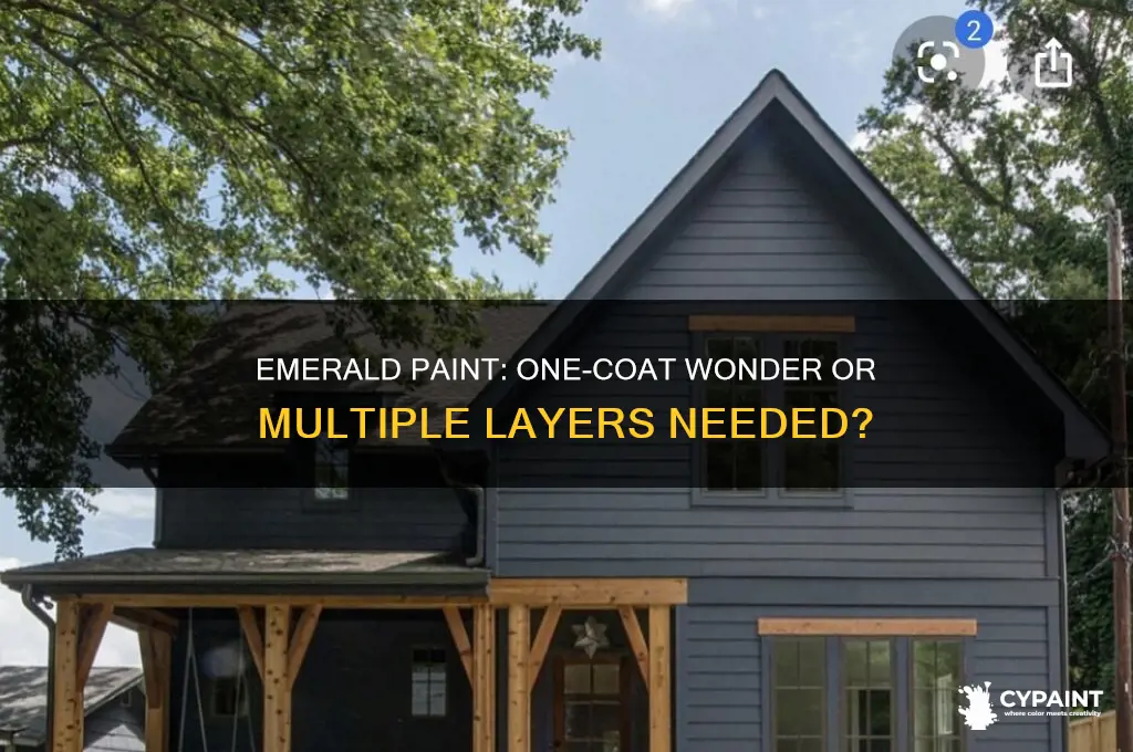 does emerald paint go on in one coat