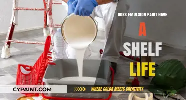 Does Emulsion Paint Expire? Understanding Its Shelf Life and Storage