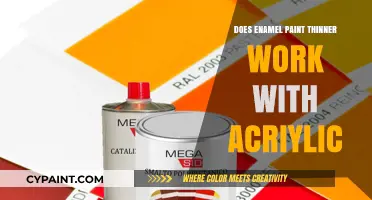 Can Enamel Paint Thinner Be Used with Acrylic Paints?