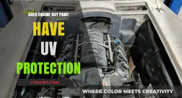 Engine Bay Paint: Does It Offer UV Protection for Your Car?