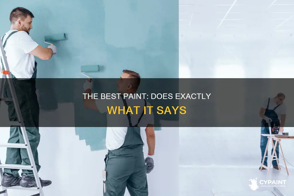 does exactly what it says on the tin paint