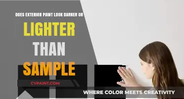 Exterior Paint: Why Does It Look Different?