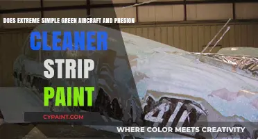 Can Extreme Simple Green Aircraft Precision Cleaner Remove Paint Safely?