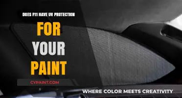 F11 Top Coat: Does It Shield Your Car Paint from UV Damage?