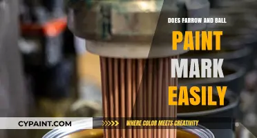 Does Farrow & Ball Paint Mark Easily? A Durability Review