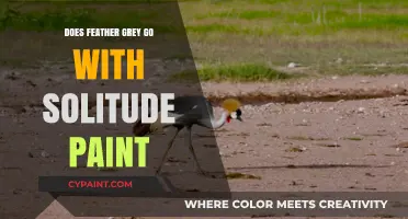 Feather Grey and Solitude Paint: A Perfect Color Harmony?