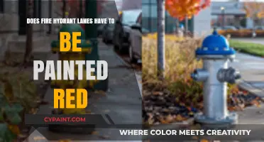 Why Paint Fire Hydrant Lanes Red?