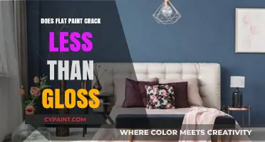 Flat vs. Gloss Paint: Which Cracks Less Over Time?