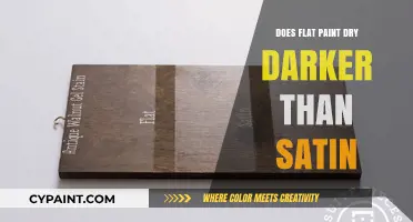 Flat vs. Satin Paint: Does Flat Dry Darker? Unveiling the Truth