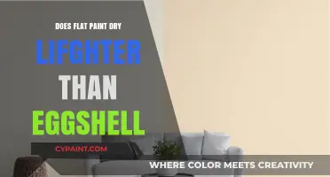Flat vs. Eggshell Paint: Which Dries Lighter and Why?