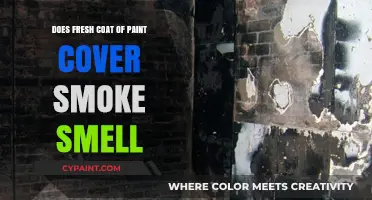 Can a Fresh Coat of Paint Eliminate Stubborn Smoke Odors?
