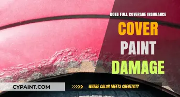 Does Full Coverage Insurance Cover Paint Damage? What You Need to Know