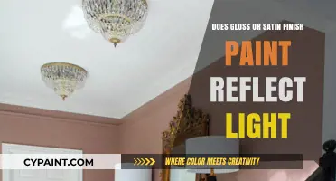 Gloss vs. Satin Paint: Which Finish Reflects Light Better?