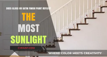 Gloss vs. Satin Paint: Which Finish Reflects More Sunlight?