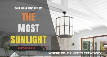 Gloss Paint vs. Sunlight: Which Finish Reflects the Most Light?