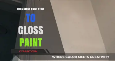 Can You Paint Gloss Over Gloss? Tips for a Smooth Finish