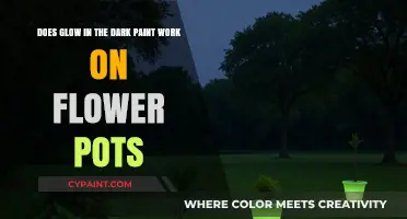 Glow-in-the-Dark Paint: Enhancing Flower Pots with Nighttime Radiance