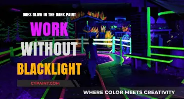 Glow in the Dark Paint: Blacklight Necessary?