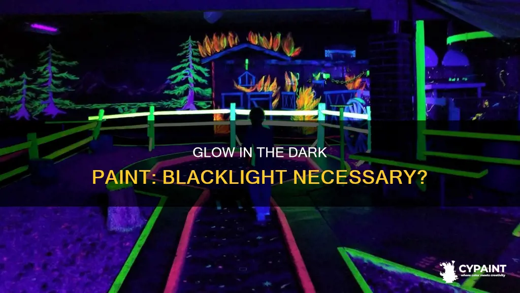 does glow in the dark paint work without blacklight