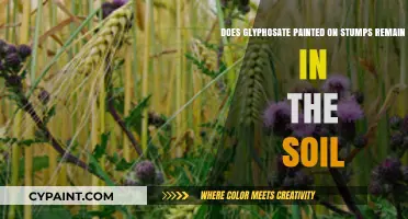 Glyphosate Stump Paint: Soil Contamination Risk?