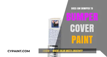 Does GM Bumper-to-Bumper Warranty Cover Paint Damage?