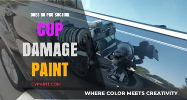 GoPro Suction Cup: Does It Damage Car Paint? Find Out!