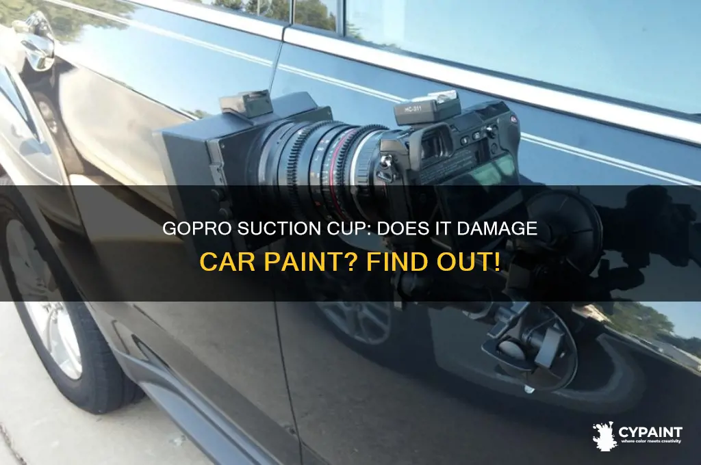 does go pro suction cup damage paint