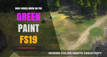 Does Green Paint in FS19 Affect Grass Growth? Exploring the Myth